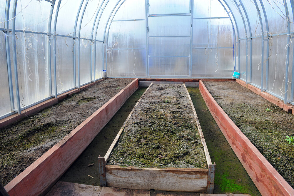 п. Хризолитовый, СНТ 50 лет победы, уч. 63 (городской округ Белоярский) - фото сада (4)