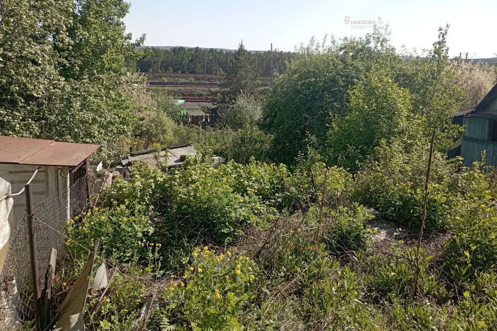 Екатеринбург, СНТ Надежда, ул. СНТ Надежда - фото сада (15)