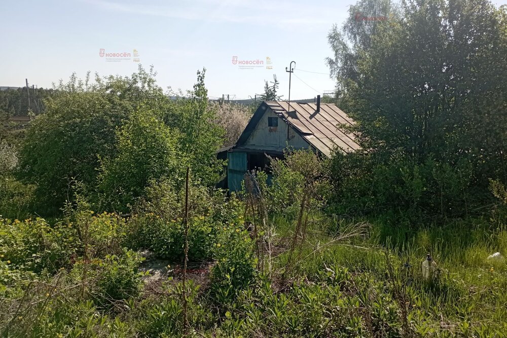 Екатеринбург, СНТ Надежда, ул. СНТ Надежда - фото сада (16)
