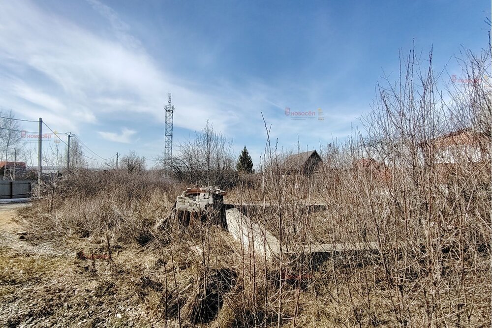 Екатеринбург, СНТ Росинка, ул. Адмирала Ушакова, 80 (Елизавет) - фото сада (3)