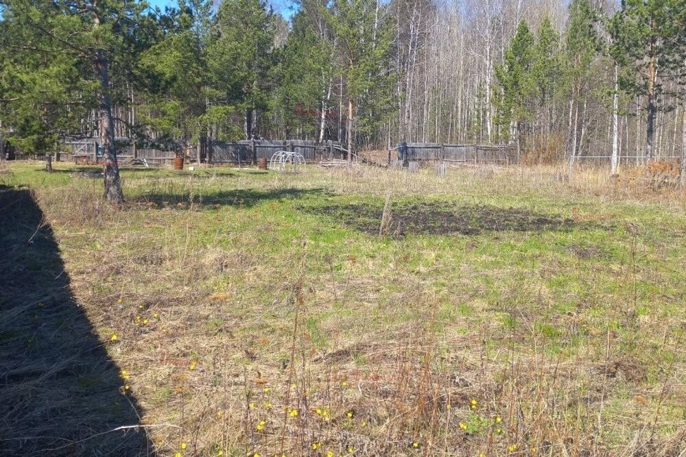 с. Кунгурка, СНТ ПРОСТОР, уч. 22 (городской округ Ревда) - фото сада (1)