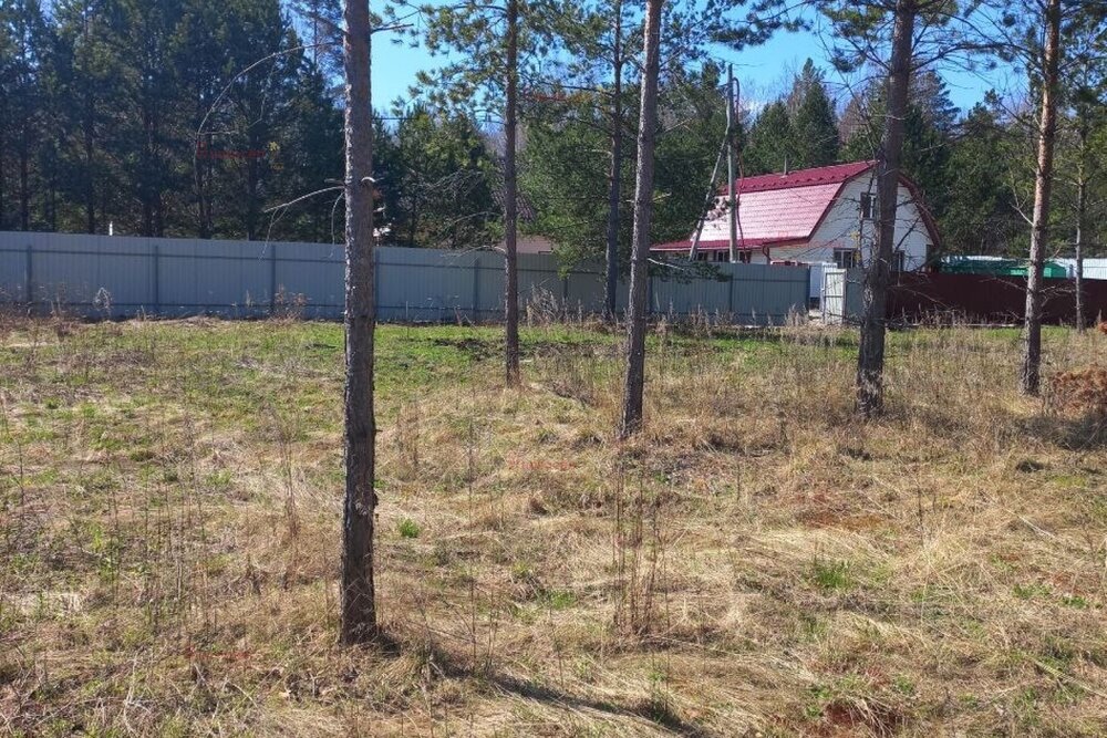 с. Кунгурка, СНТ ПРОСТОР, уч. 22 (городской округ Ревда) - фото сада (3)