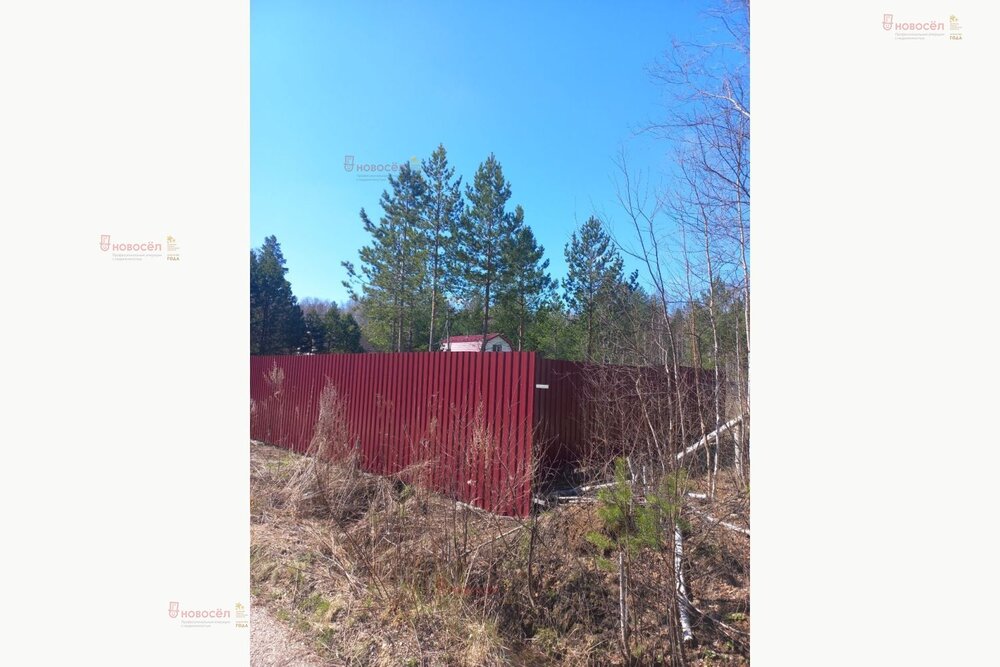 с. Кунгурка, СНТ ПРОСТОР, уч. 22 (городской округ Ревда) - фото сада (7)