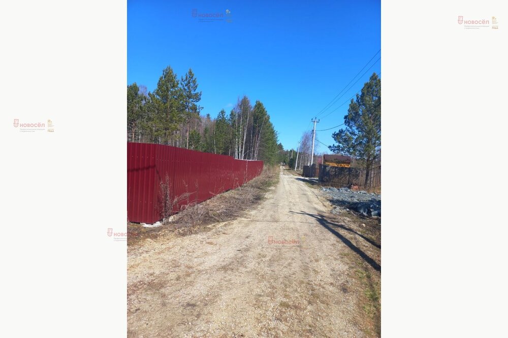 с. Кунгурка, СНТ ПРОСТОР, уч. 22 (городской округ Ревда) - фото сада (8)