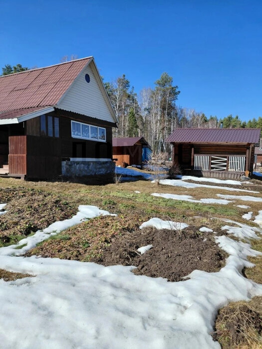 Екатеринбург, снт. Золотой камень, уч. 34 - фото сада (5)