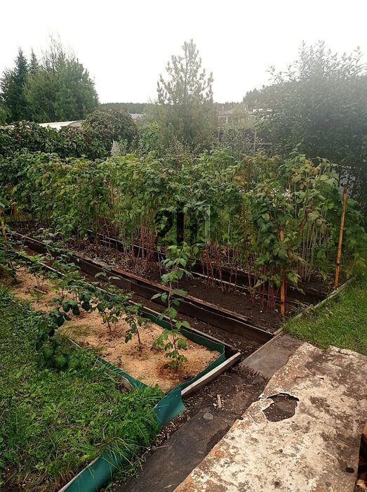д. Поварня, ул. Ленина, 53/2 (городской округ Белоярский) - фото земельного участка (5)