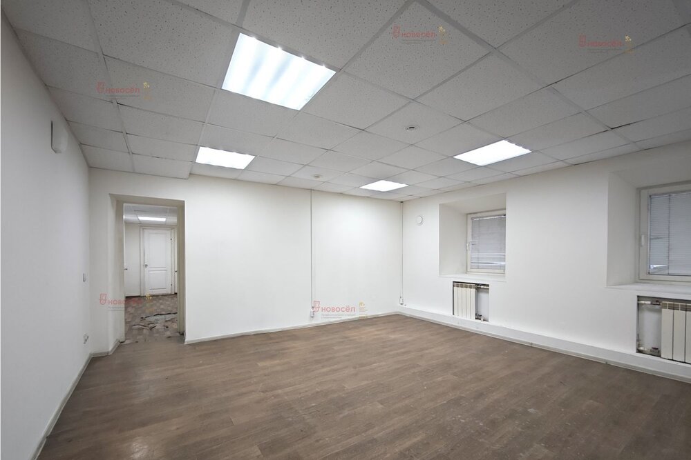 Екатеринбург, ул. Кирова, 32 (Центр) - фото офисного помещения (5)