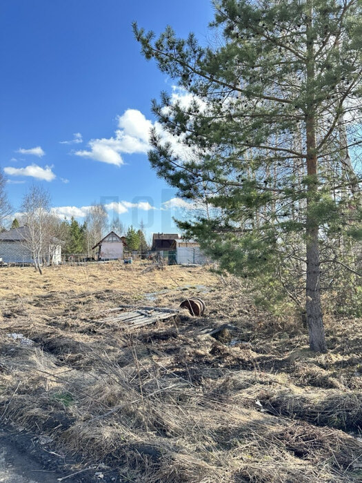 пгт. Верхнее Дуброво, ул. ДНТ Администрации Ленинского района города (городской округ Верхнее Дуброво) - фото земельного участка (2)
