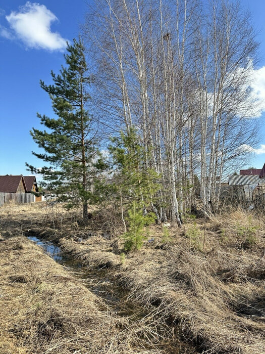 пгт. Верхнее Дуброво, ул. ДНТ Администрации Ленинского района города (городской округ Верхнее Дуброво) - фото земельного участка (4)
