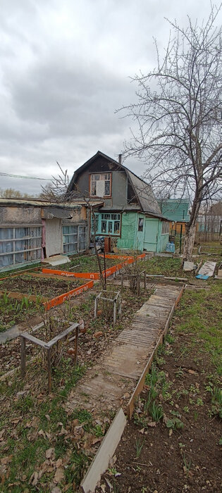 Екатеринбург, снт. Лесовод (кад.кв-л, уч. 0507016),7 (Елизавет) - фото сада (3)