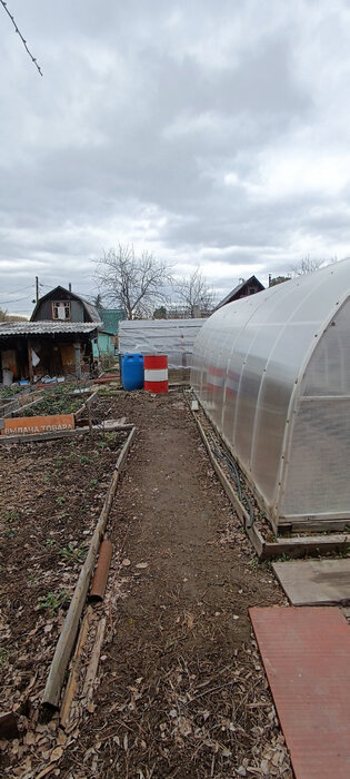Екатеринбург, снт. Лесовод (кад.кв-л, уч. 0507016),7 (Елизавет) - фото сада (4)