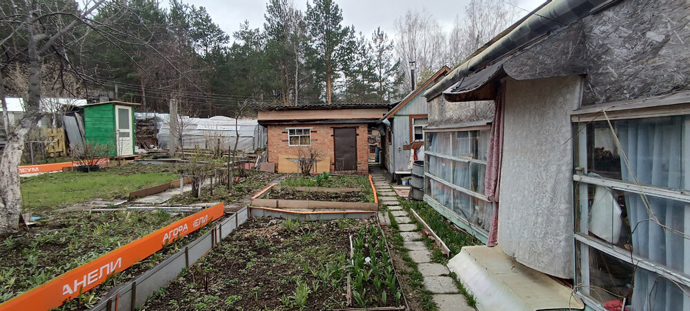 Екатеринбург, снт. Лесовод (кад.кв-л, уч. 0507016),7 (Елизавет) - фото сада (8)