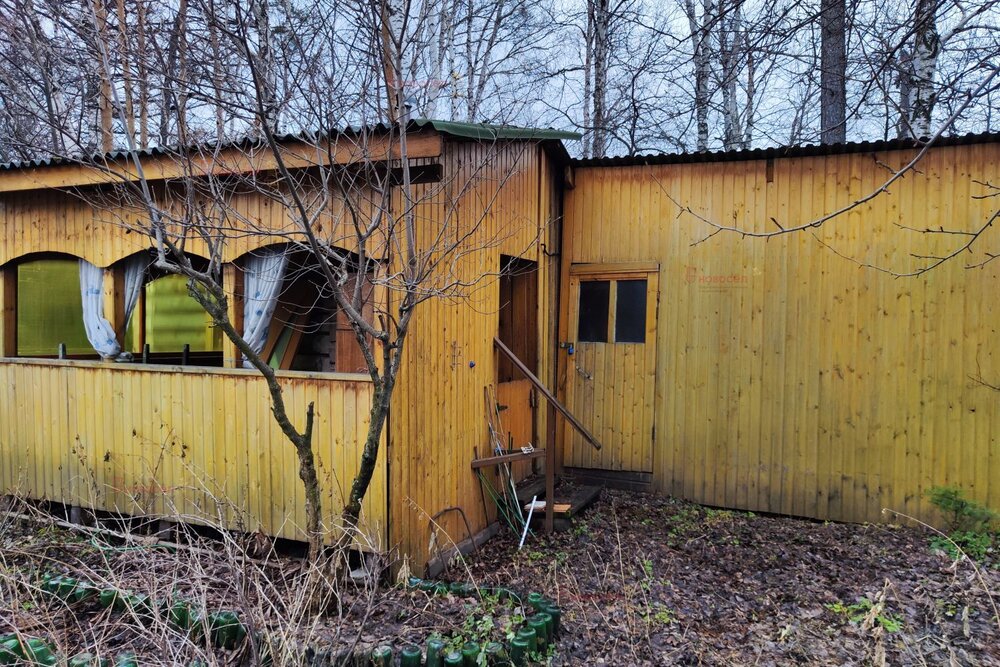 Екатеринбург, КС Малахит, ул. Кедровая, 187 (Палкинский торфяник) - фото сада (4)