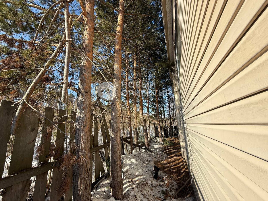 Екатеринбург, к/с Мечта, уч. 56 - фото сада (5)