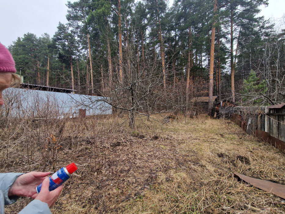 Екатеринбург, СНТ Энергетик-1 (ВИЗ) - фото сада (1)