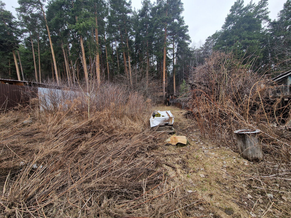 Екатеринбург, СНТ Энергетик-1 (ВИЗ) - фото сада (2)