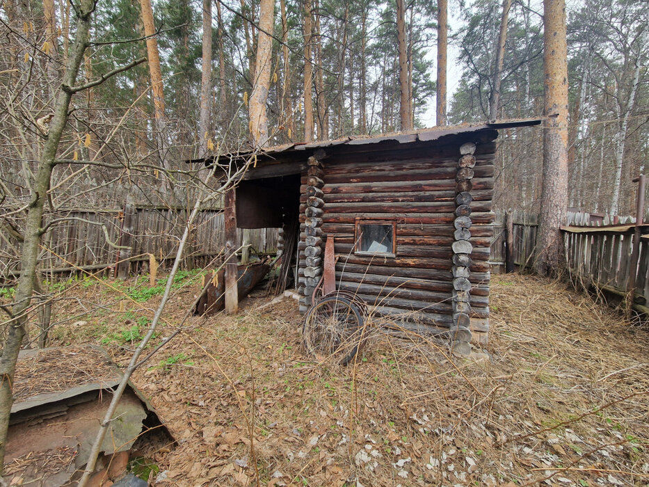 Екатеринбург, СНТ Энергетик-1 (ВИЗ) - фото сада (3)