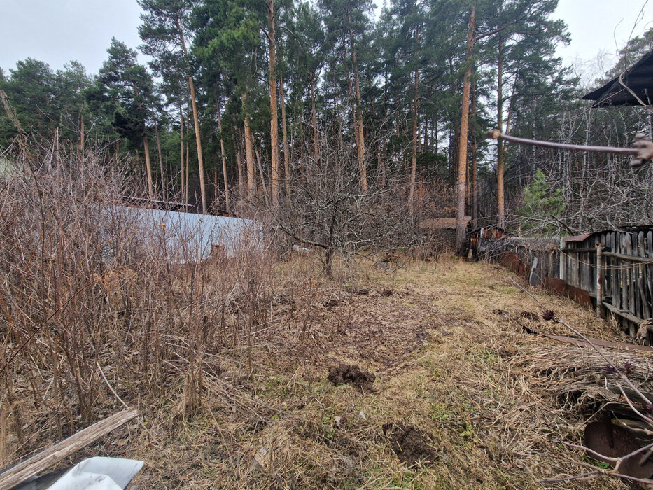 Екатеринбург, СНТ Энергетик-1 (ВИЗ) - фото сада (4)