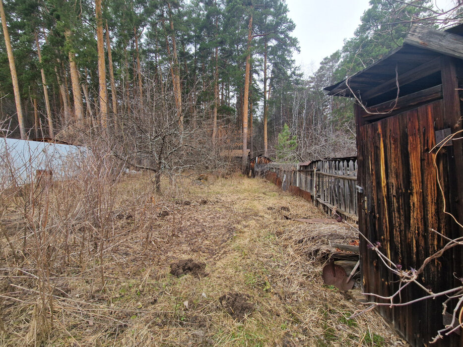 Екатеринбург, СНТ Энергетик-1 (ВИЗ) - фото сада (5)