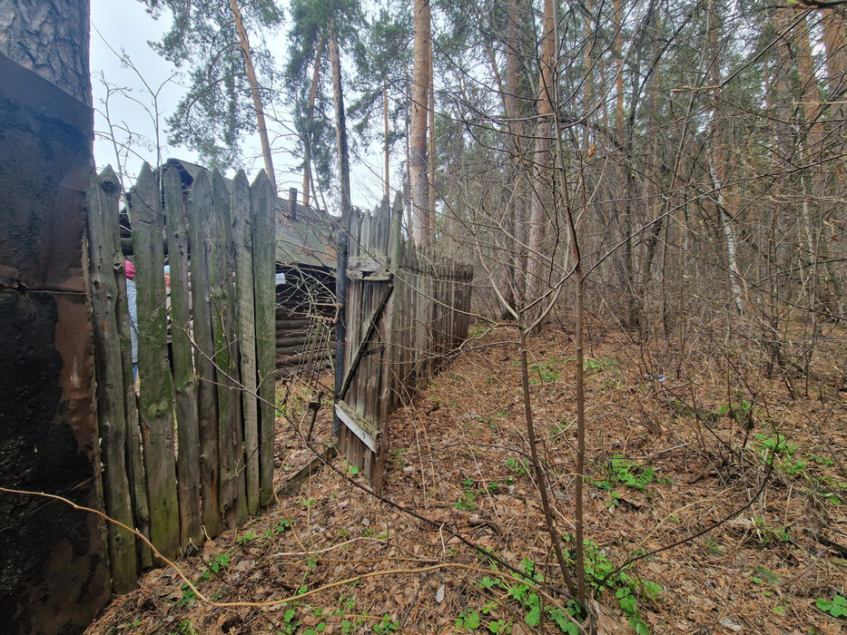 Екатеринбург, СНТ Энергетик-1 (ВИЗ) - фото сада (6)