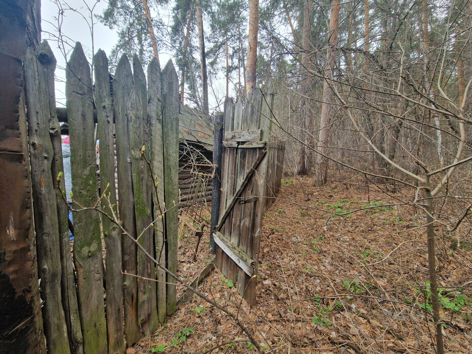 Екатеринбург, СНТ Энергетик-1 (ВИЗ) - фото сада (7)