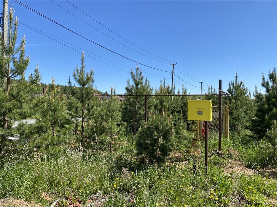 с. Черданцево, ул. Брусничная, 24 (городской округ Сысертский) - фото дома (5)