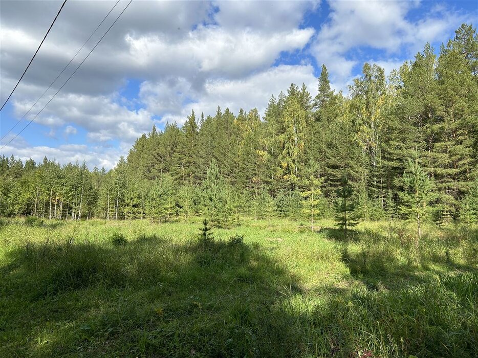 с. Черданцево, ул. Брусничная (городской округ Сысертский) - фото земельного участка (1)