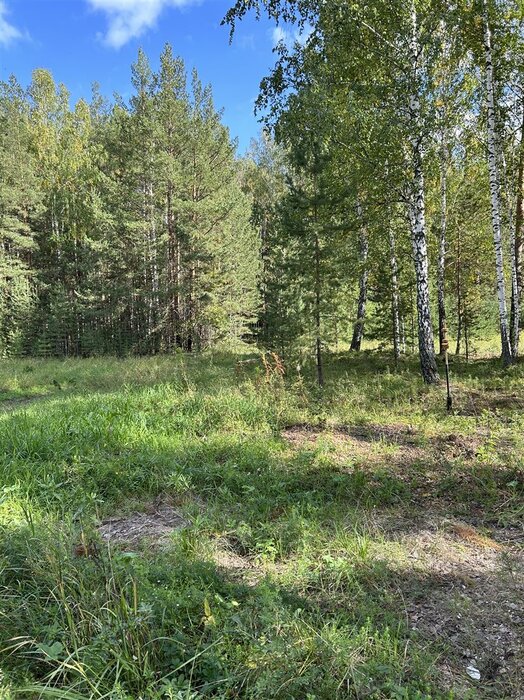 с. Черданцево, ул. Брусничная (городской округ Сысертский) - фото земельного участка (4)