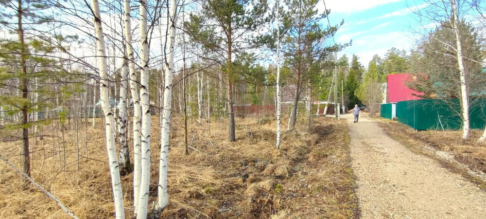 с. Кунгурка, СОТ ГОРНЯКИ (городской округ Ревда) - фото сада (2)