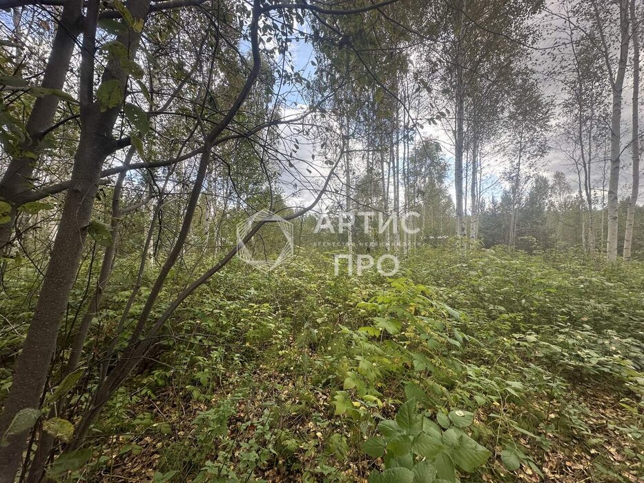 п. Красный Адуй, СНТ Адуйское, ул. Берёзоваяъ, 11 (городской округ Верхняя Пышма) - фото сада (1)