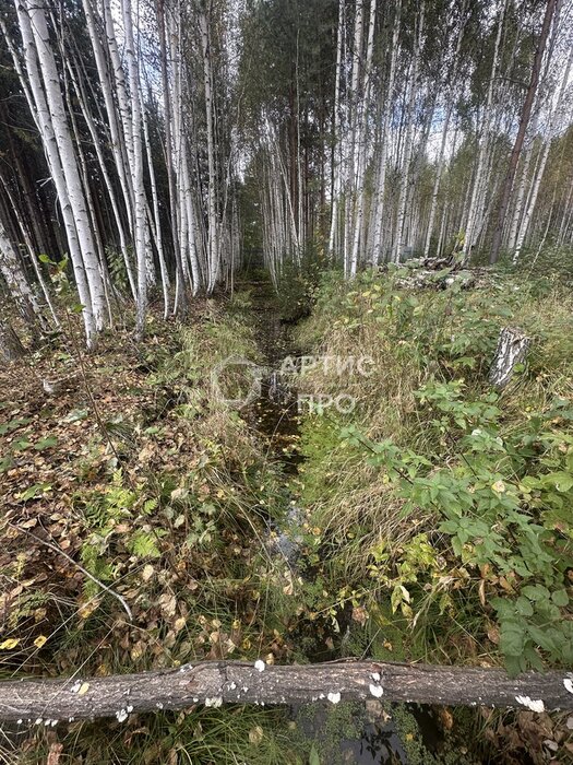 п. Красный Адуй, СНТ Адуйское, ул. Берёзоваяъ, 11 (городской округ Верхняя Пышма) - фото сада (6)