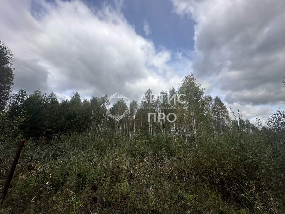 п. Красный Адуй, СНТ Адуйское, ул. Берёзоваяъ, 11 (городской округ Верхняя Пышма) - фото сада (7)