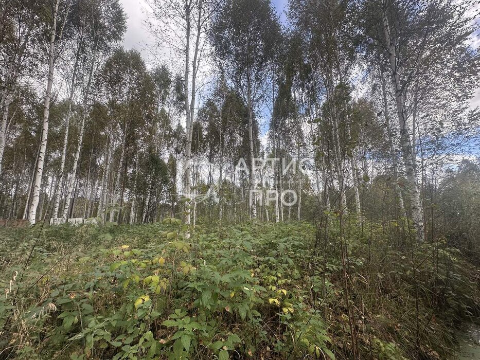 п. Красный Адуй, СНТ Адуйское, ул. Берёзоваяъ, 11 (городской округ Верхняя Пышма) - фото сада (8)