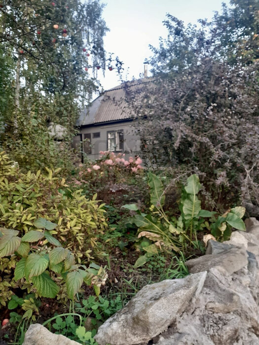 п. Исеть, СНТ Исеть-2 (городской округ Верхняя Пышма) - фото сада (3)