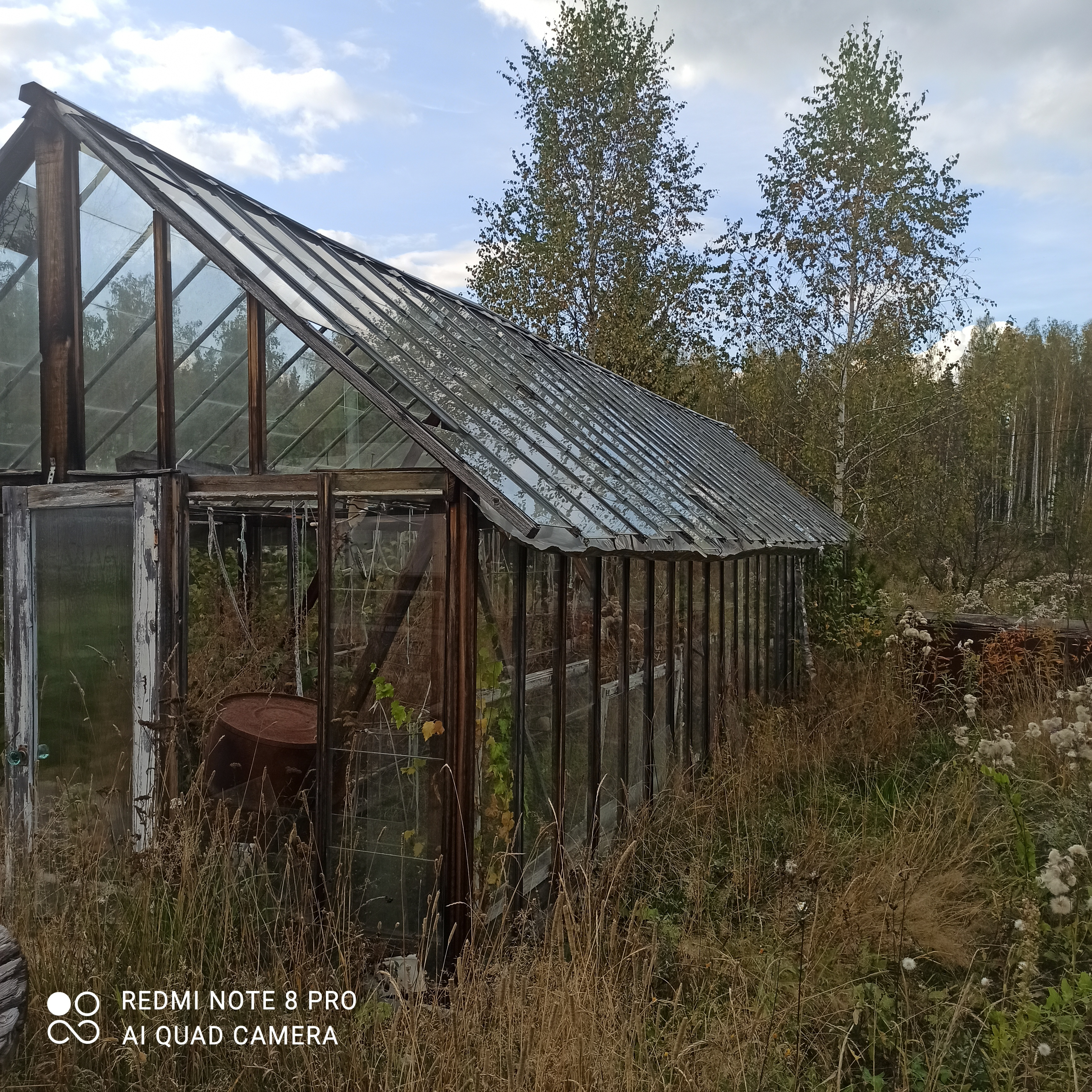 Екатеринбург, к/с  СНТ Березка, уч. 76 - фото сада (1)