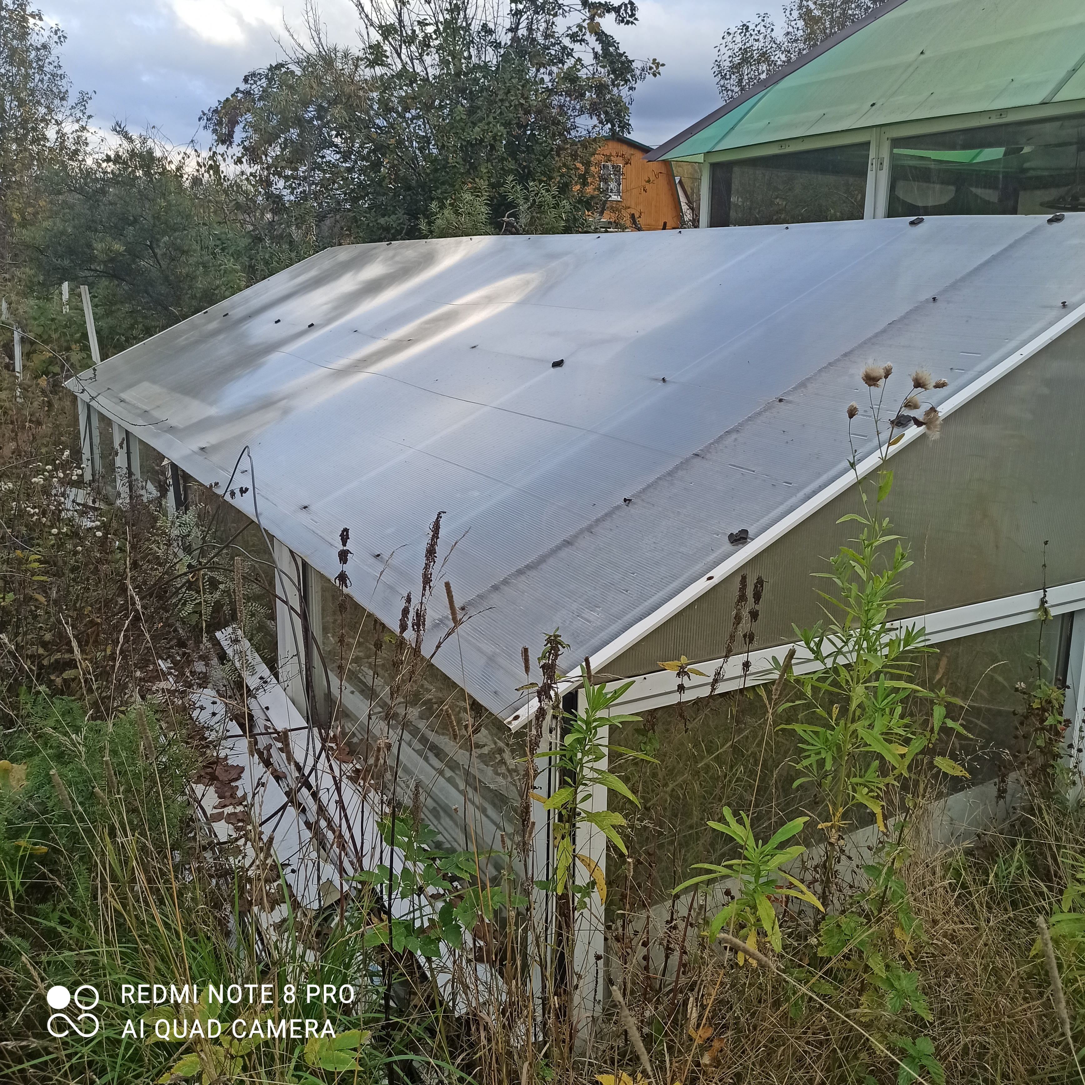 Екатеринбург, к/с  СНТ Березка, уч. 76 - фото сада (3)