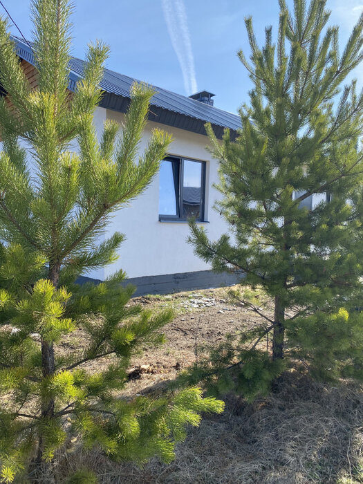 с. Малобрусянское, ул. Ленина, 5 (городской округ Белоярский) - фото коттеджа (4)