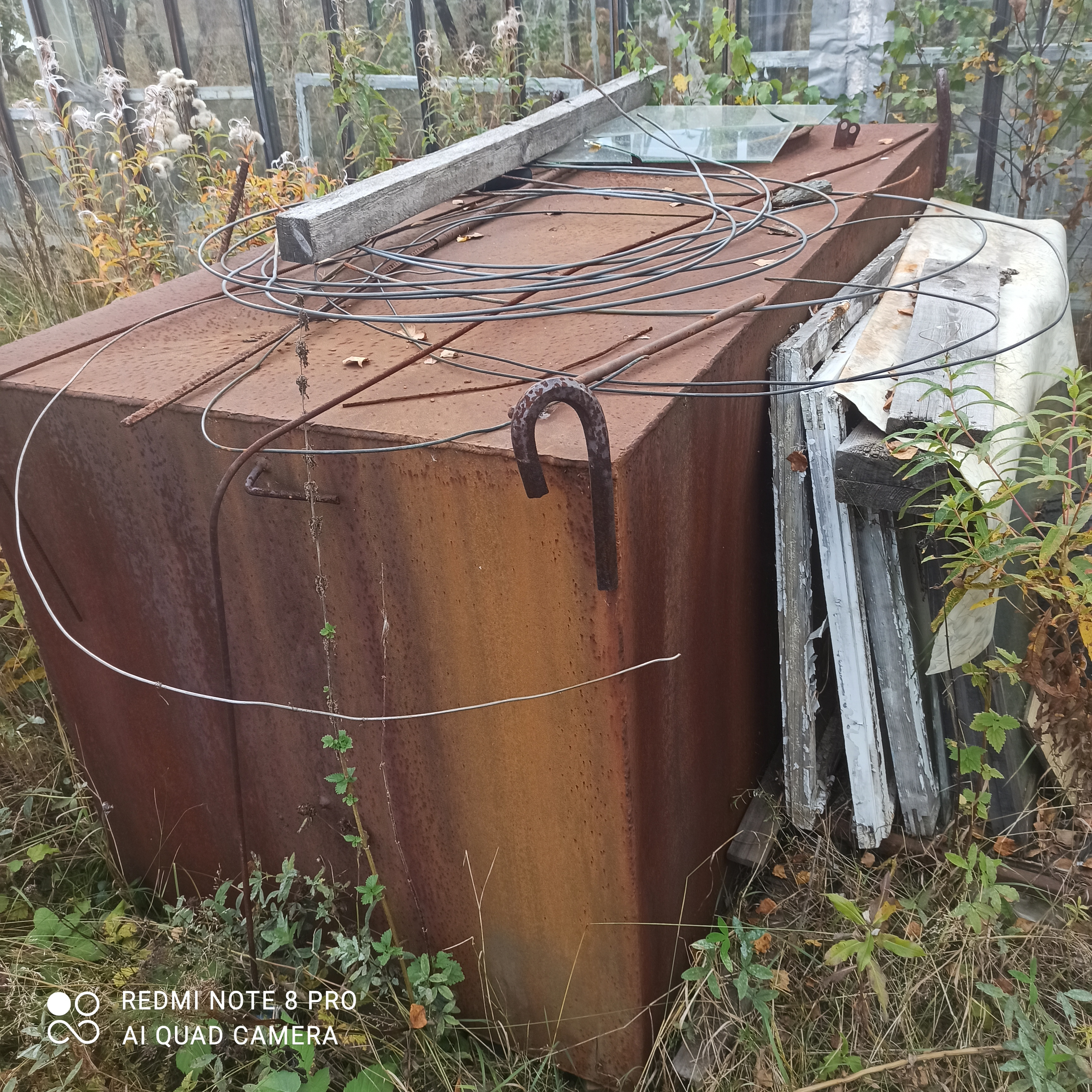 Екатеринбург, к/с  СНТ Березка, ул. Косотурская, 3 (Верхнемакарово) - фото сада (2)