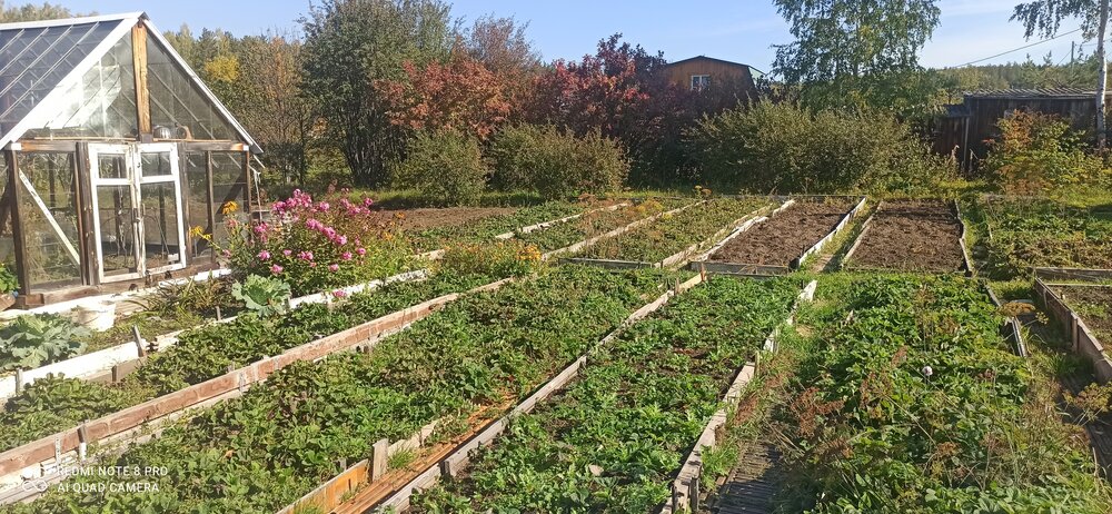 Екатеринбург, к/с  СНТ Березка, ул. Косотурская, 3 (Верхнемакарово) - фото сада (4)