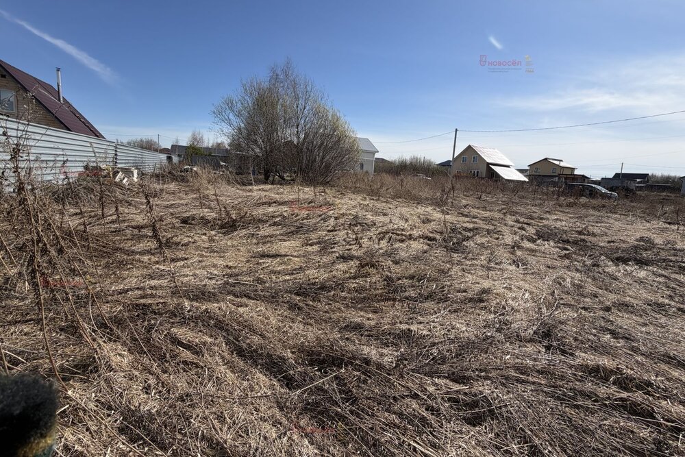 Екатеринбург, ул. Ежевичная, 7 (Полеводство) - фото земельного участка (11)