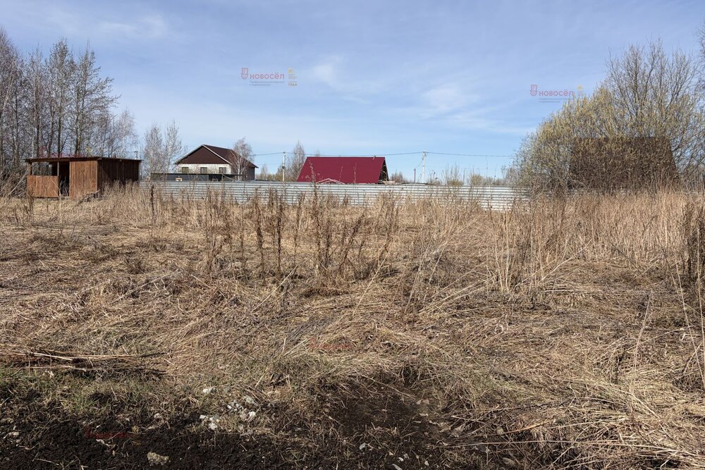 Екатеринбург, ул. Ежевичная, 7 (Полеводство) - фото земельного участка (3)