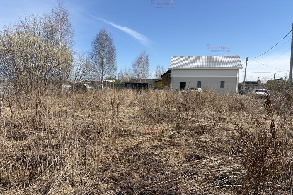Екатеринбург, ул. Ежевичная, 7 (Полеводство) - фото земельного участка (4)