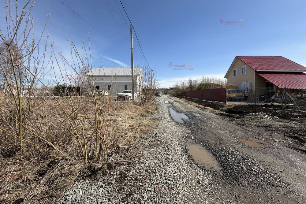 Екатеринбург, ул. Ежевичная, 7 (Полеводство) - фото земельного участка (6)