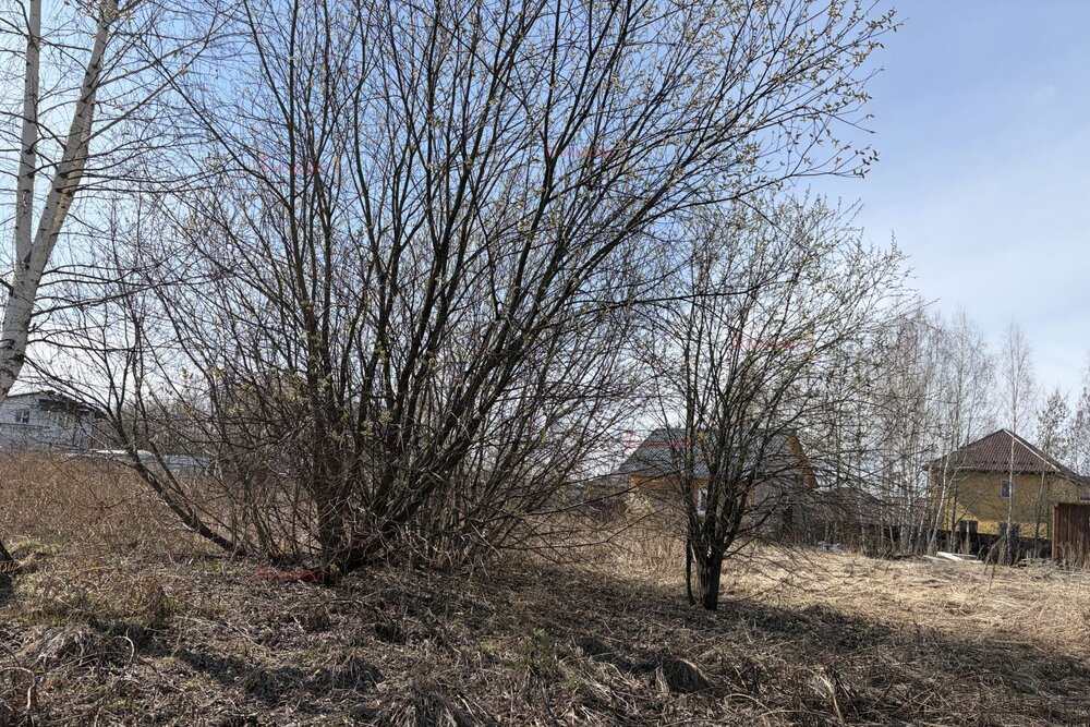 Екатеринбург, ул. Ежевичная, 7 (Полеводство) - фото земельного участка (8)