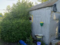 Продажа садового участка: пгт. Верхнее Дуброво, городской округ Верхнее Дуброво, коллективный сад Ивушка, уч. 85 (городской округ Верхнее Дуброво) - Фото 5