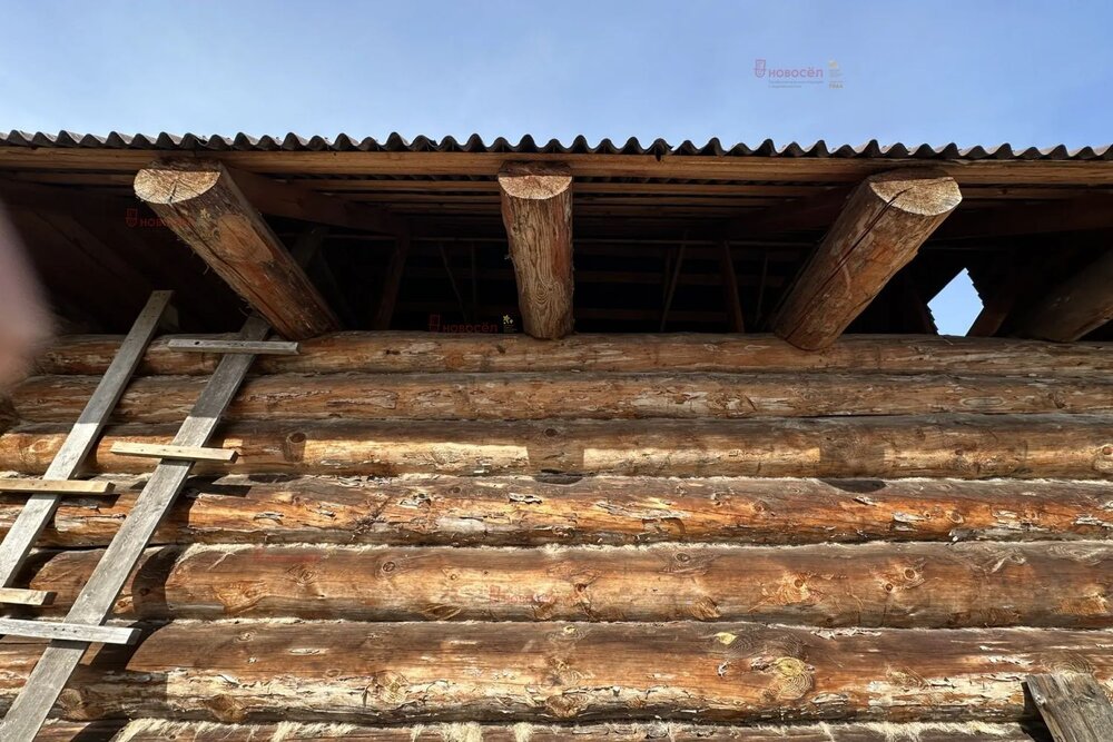 г. Ревда, СОТ Заречный (городской округ Ревда) - фото сада (7)