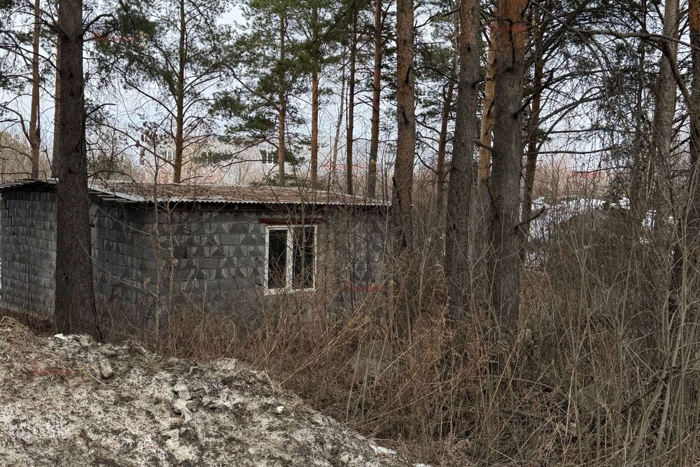 п. Большой Исток, ул. Ленина, 172/2 (городской округ Сысертский) - фото земельного участка (3)