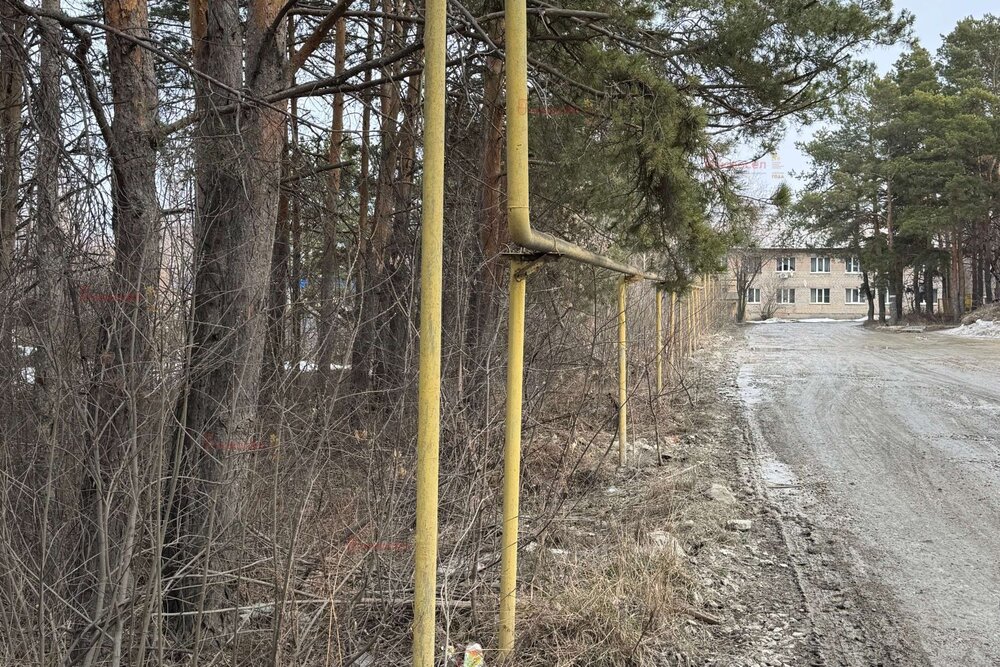 п. Большой Исток, ул. Ленина, 172/2 (городской округ Сысертский) - фото земельного участка (4)