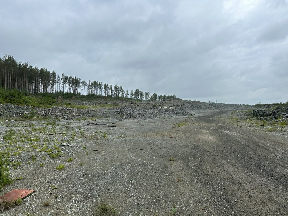 Екатеринбург, ул. Короткий, 19 (Горный щит) - фото земельного участка (4)