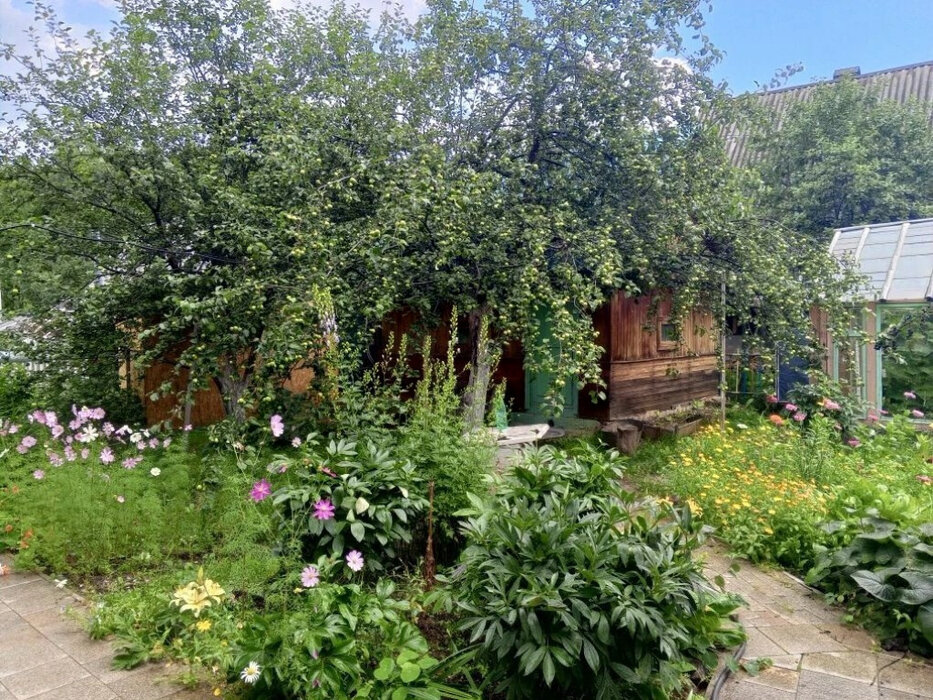 п. Красный, СНТ Солнышко, уч. 138 (городской округ Верхняя Пышма) - фото сада (5)